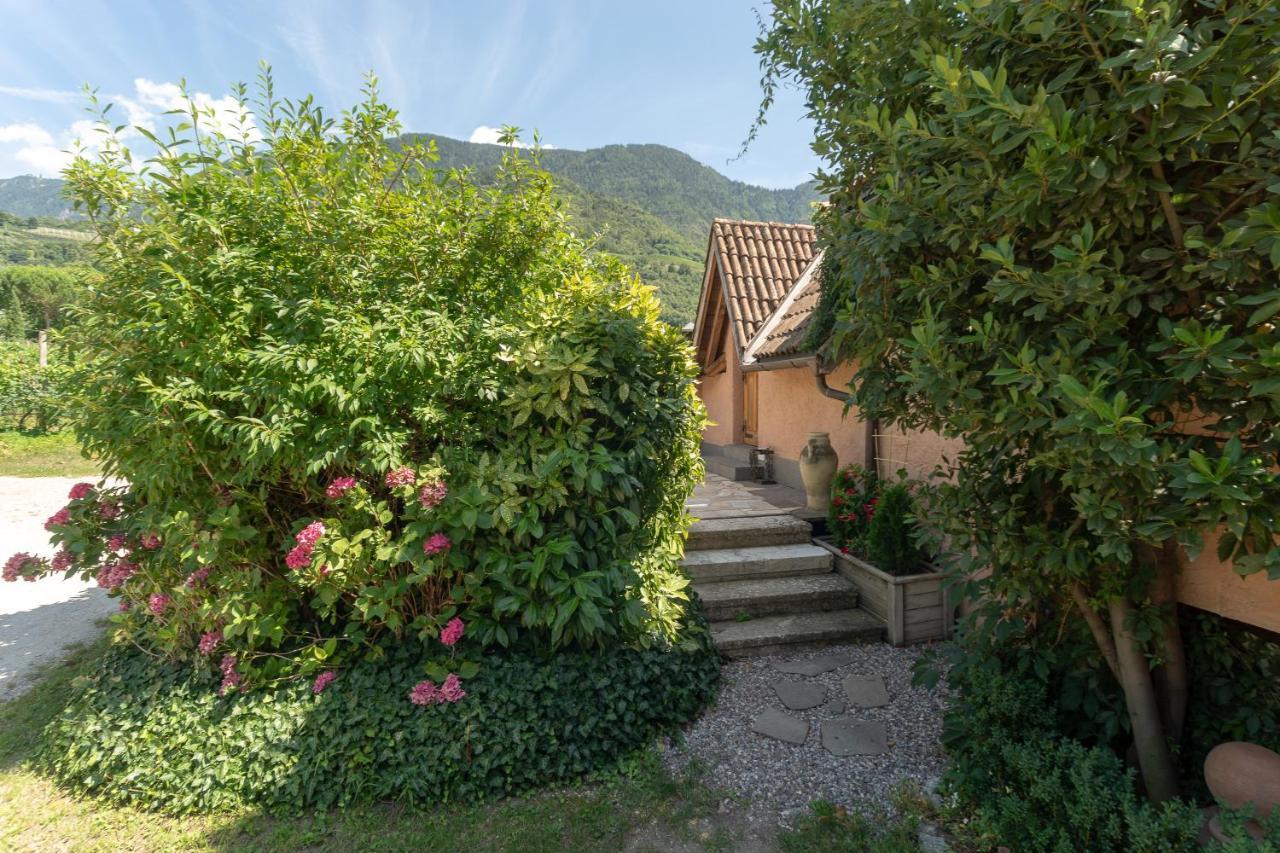 Schloss-castel Pienzenau - Guestrooms & - B&b-hotel & Restaurant 3* Merano
