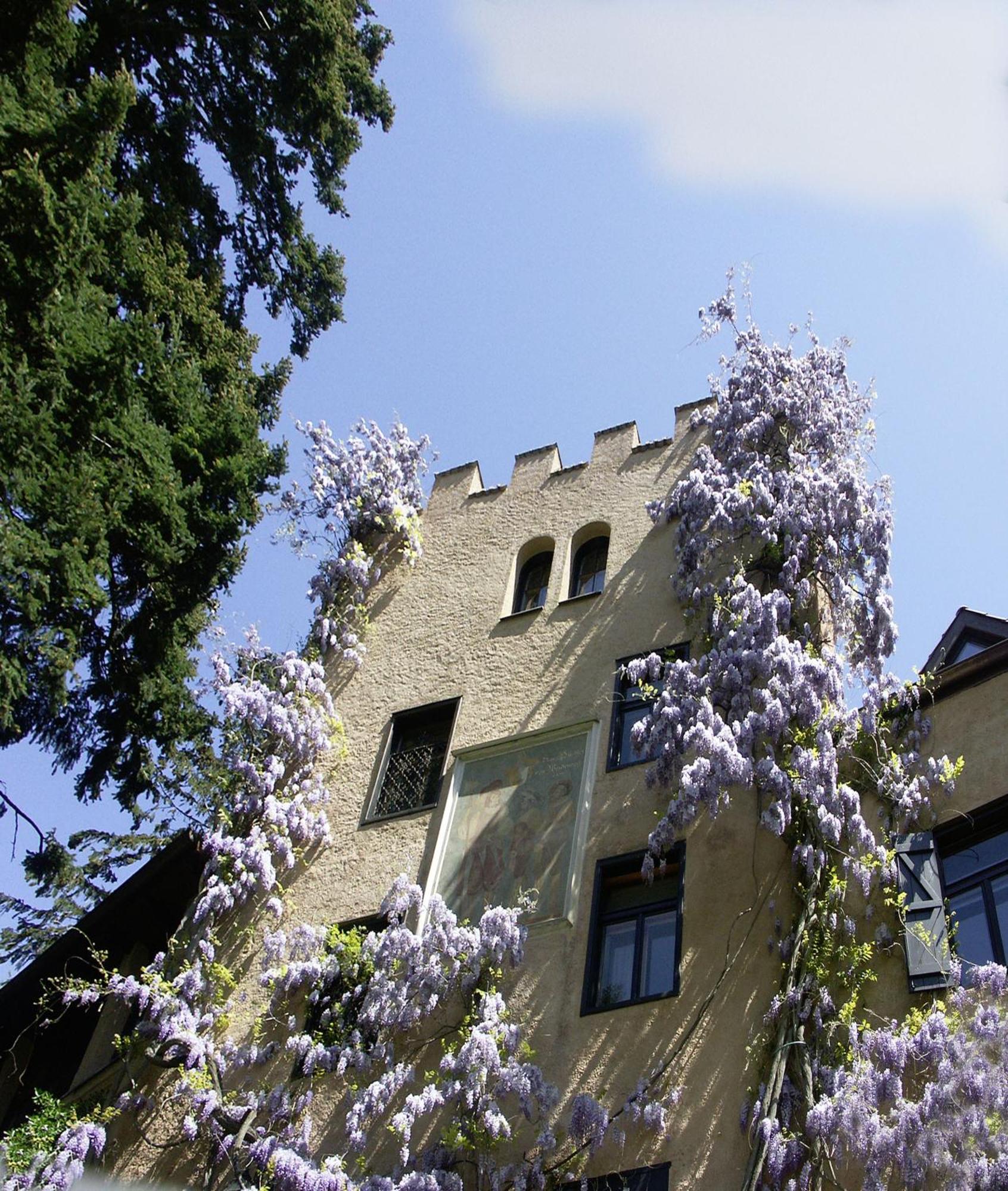 Schloss-castel Pienzenau - Guestrooms&apartments - B&b-hotel&restaurant Meran